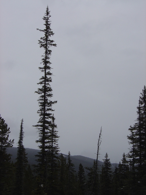 DSC03809